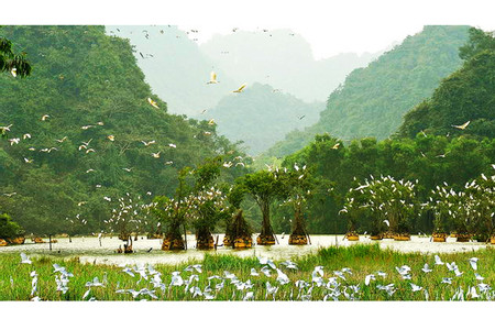 Hanoi - Tam Coc - Thung Nham Bird Watching 1 day tour photo 2